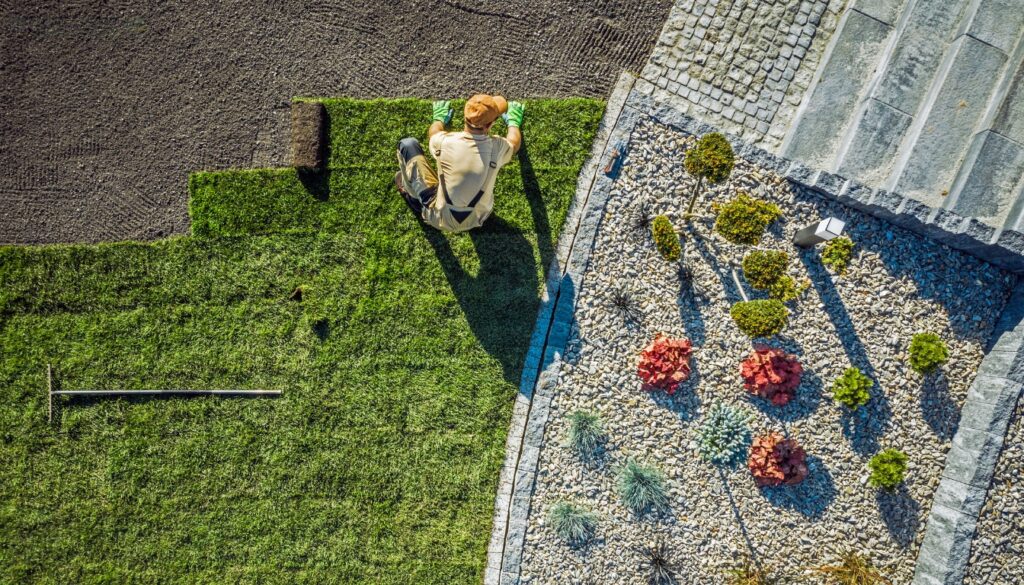 Professional Landscape Design Services