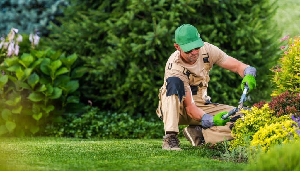 professional landscaper