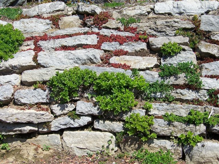 Retaining Wall Alternatives for Your Landscaping Projects
