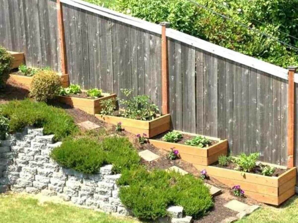 Image of Tiered garden bed on a steep slope