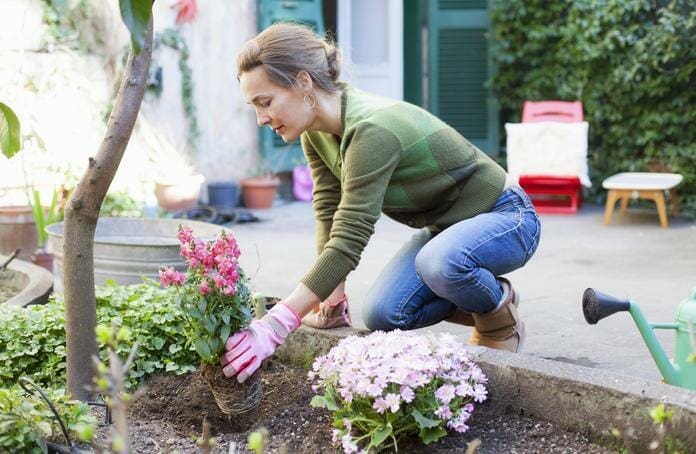 What month should you start a garden?