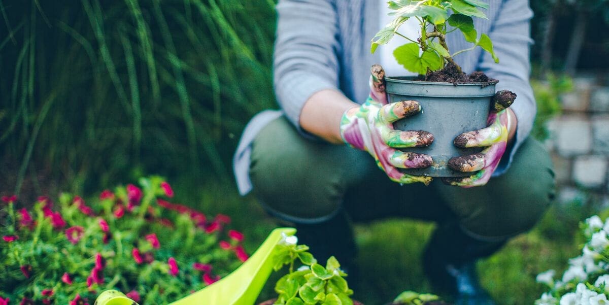 What are the benefits of doing gardening?