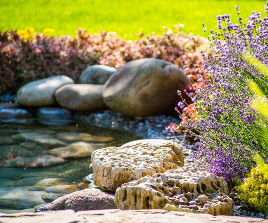 Dive into Tranquility Discover the Allure of Water Features in Your Garden Paradise