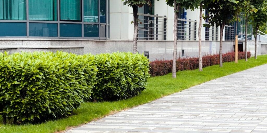 Commercial Landscape Design and Construction