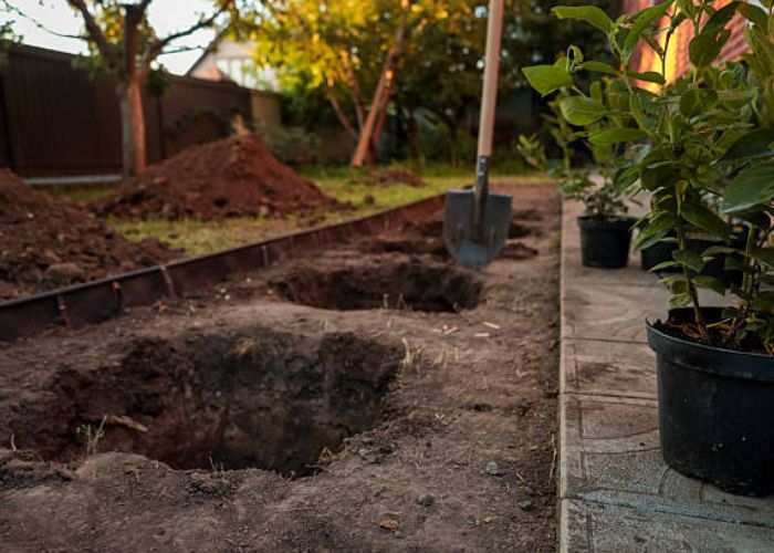 Budget-Friendly Landscaping Ideas