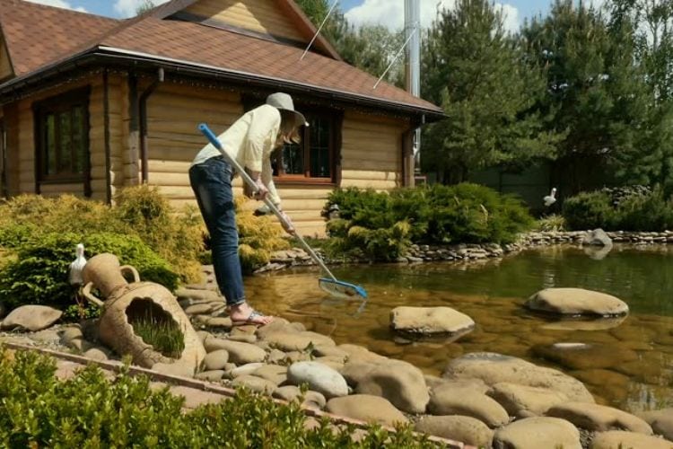 DIY Pond Maintenance vs Professional Services