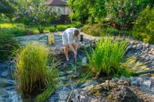 Garden Pond Maintenance