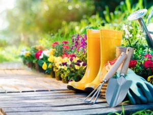 Gardening Safety Tips