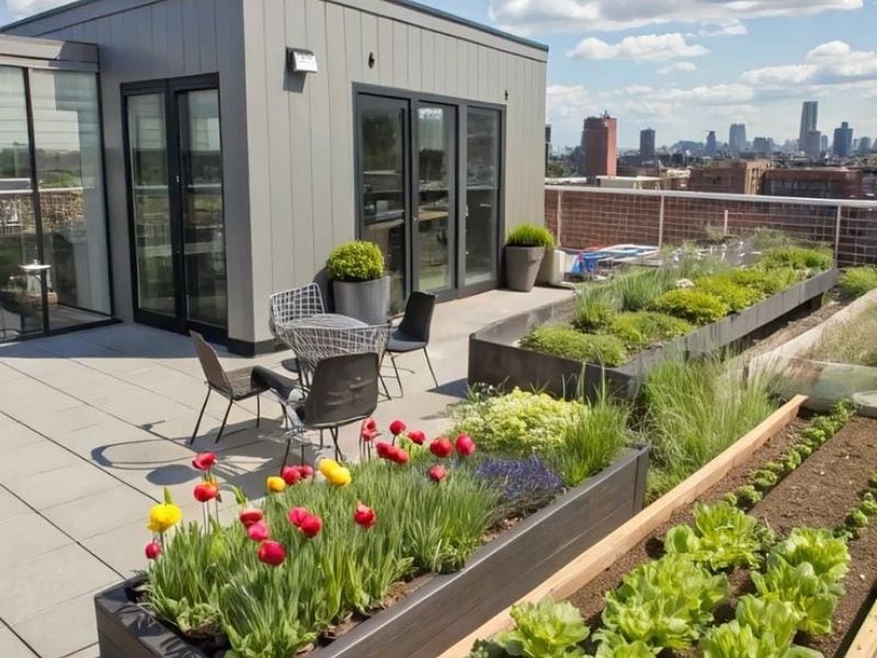 Low-Maintenance Design for Urban Living