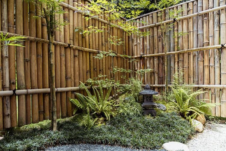 Planting Guide for Tropical Backyards