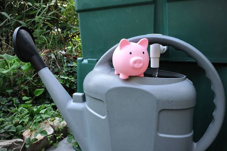 Water Conservation Garden Ideas