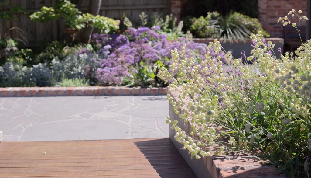 Choosing Fire Resistant Plants