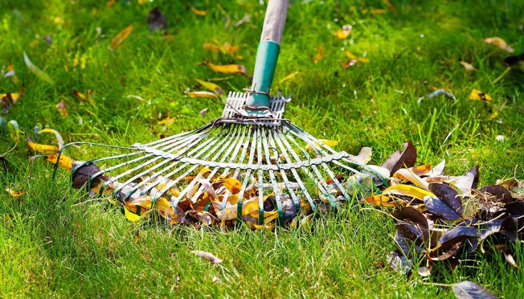 Common Mistakes When Replacing a Lawn