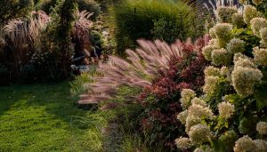 Landscaping for Windy Areas