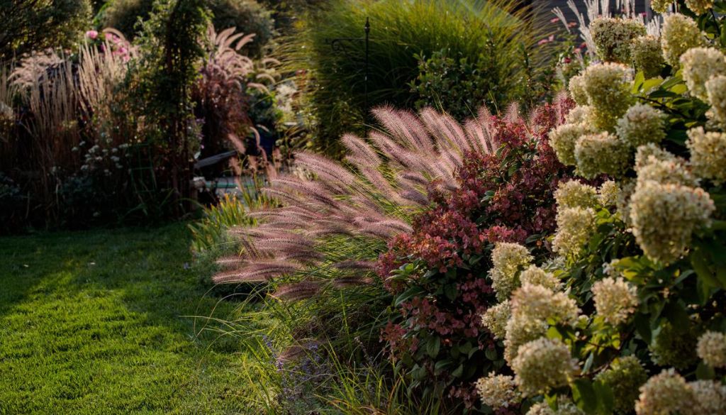 Landscaping for Windy Areas