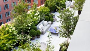 Home Rooftop Garden Design