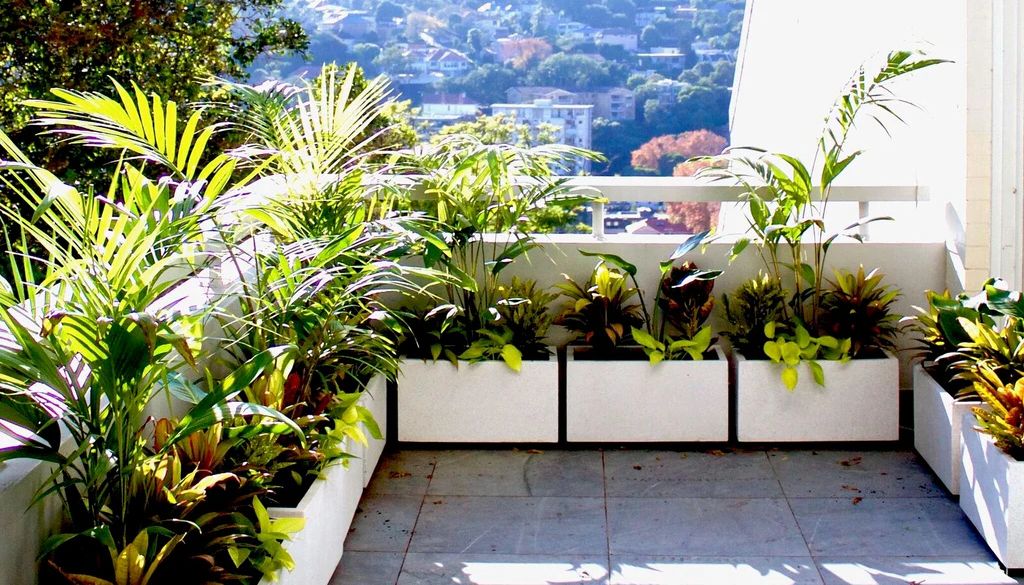 Selecting Pots and Containers