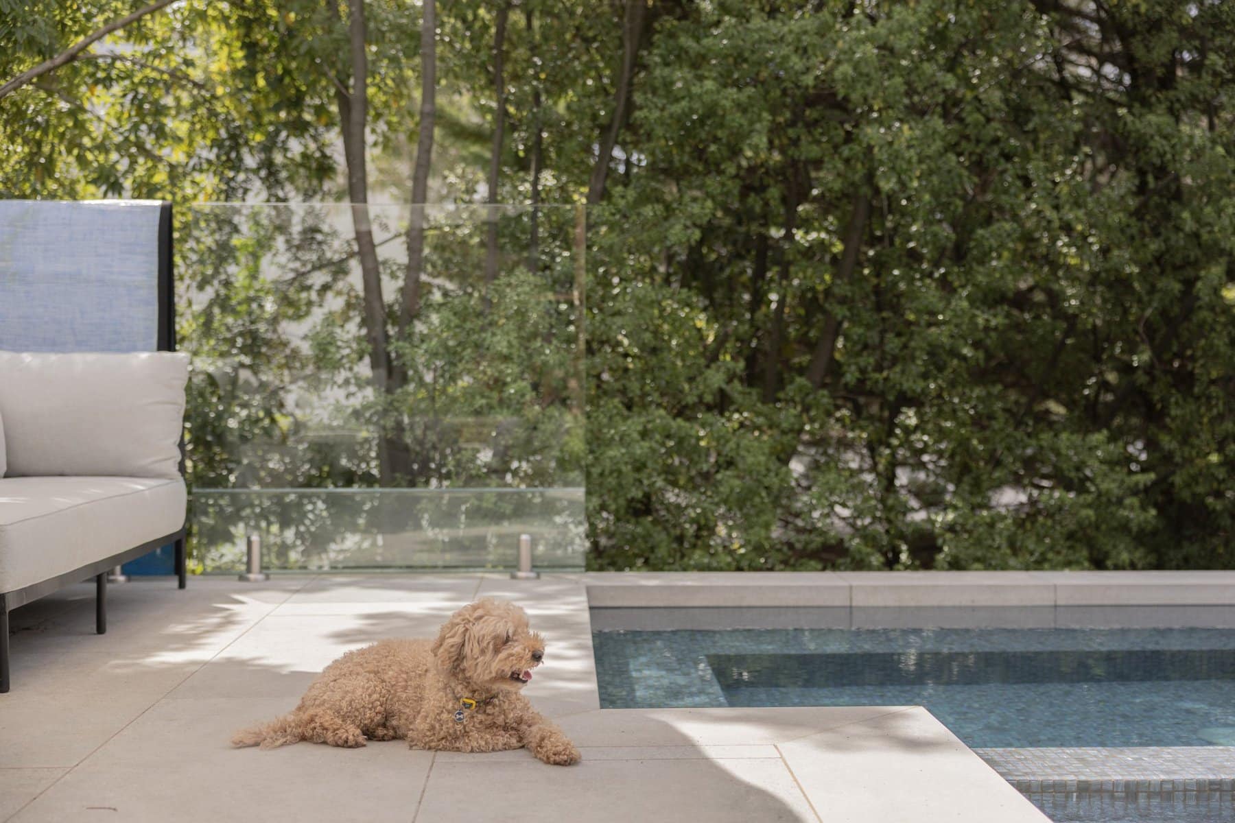 Pool surround in inner-east Melbourne featuring travertine paving and frameless glass fence
