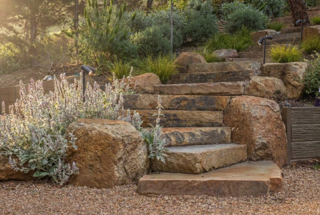 Drought-tolerant family garden with structural grasses, designed for a Boroondara-adjacent block