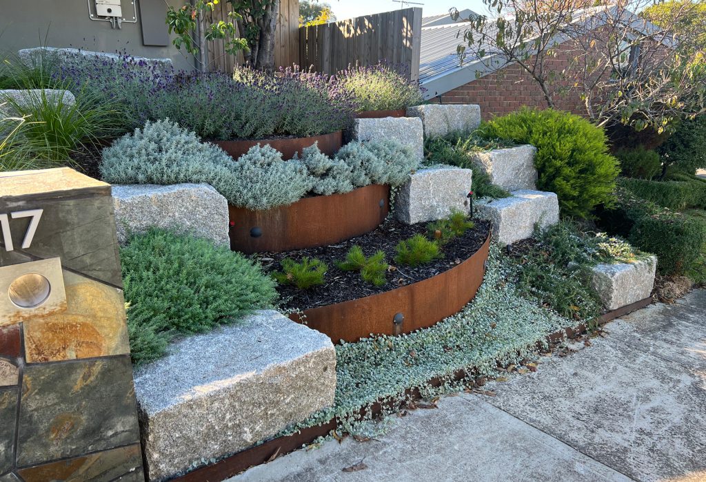 Drought-tolerant front garden design in Kew with structural grasses and native ground cover.