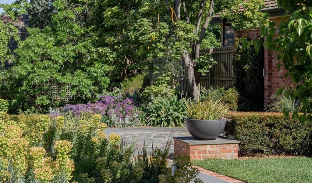 Heritage garden restoration in Camberwell featuring clipped Buxus hedging and period-appropriate plantings.