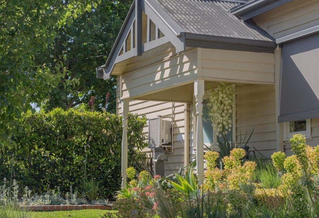 Heritage front-garden restoration near Canterbury featuring mature elm protection and clipped formal hedging