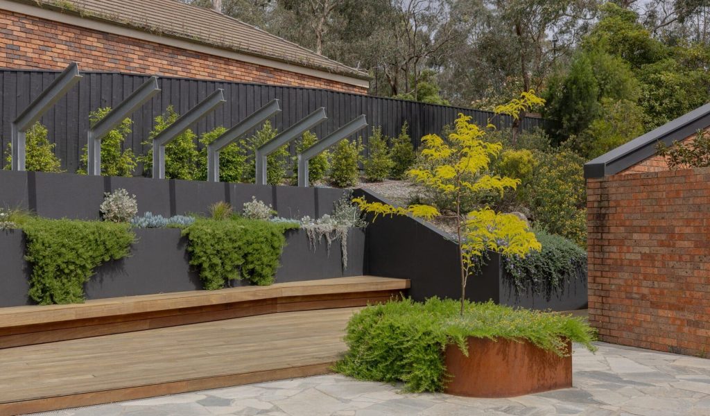 Drought-tolerant front garden design in Camberwell with structural grasses and native ground cover.