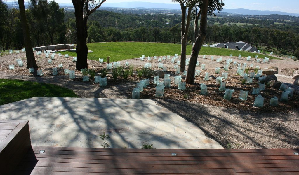 Contemporary garden design for an architect-designed Hawthorn home with structural planting and bluestone paving.